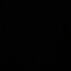 Meet your Posher, Daniella